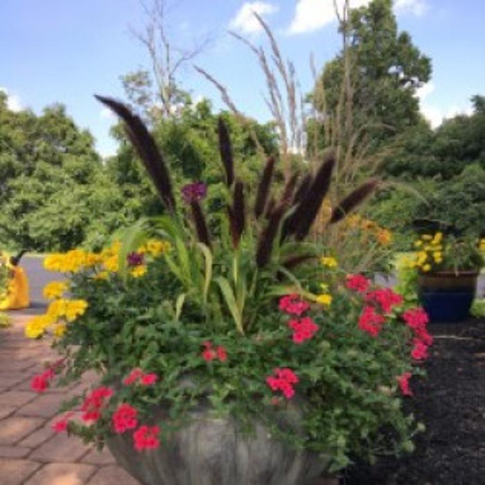 Stoltz Creations, LLC - Sharon Springs, NY