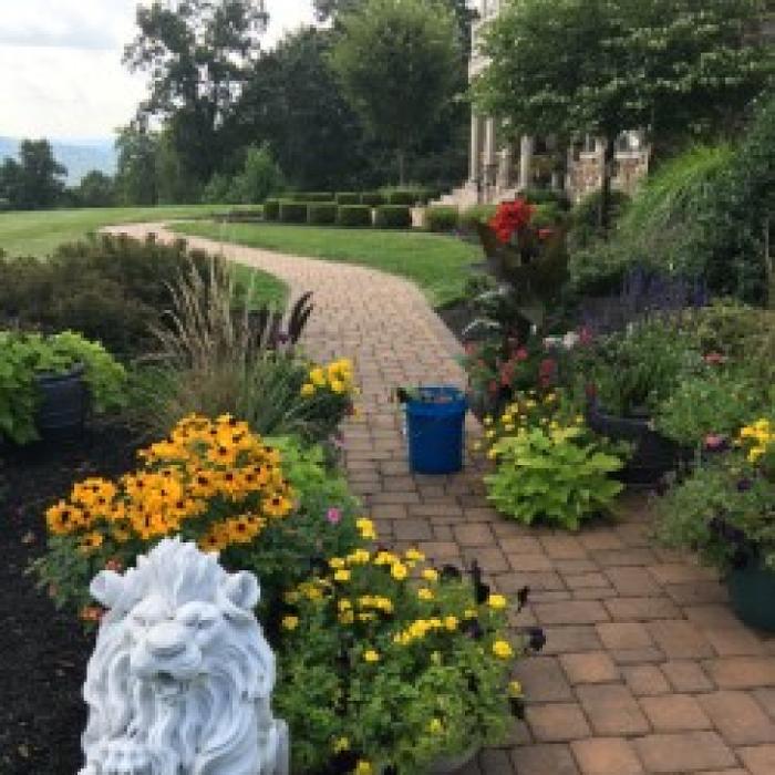 Stoltz Creations, LLC - Sharon Springs, NY