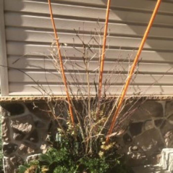 Stoltz Creations, LLC - Sharon Springs, NY