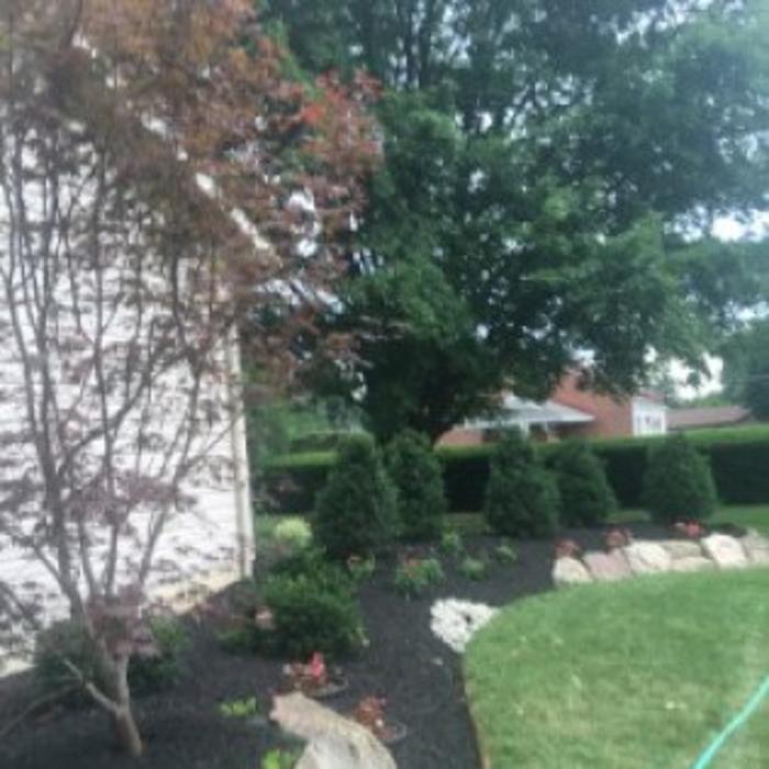 Stoltz Creations, LLC - Sharon Springs, NY