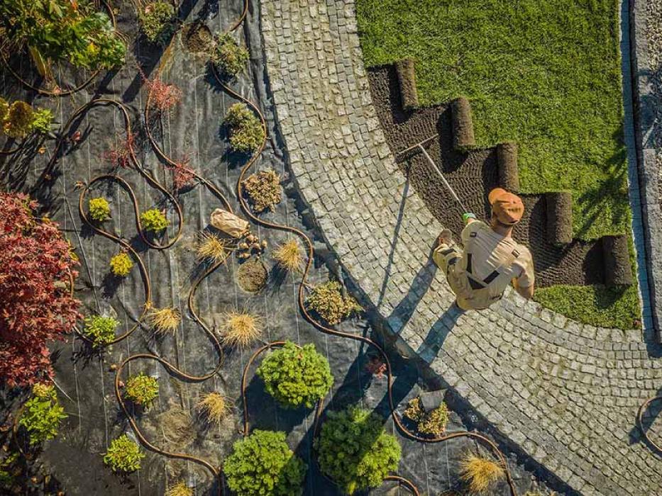 West Texas Weed Control - Levelland, TX