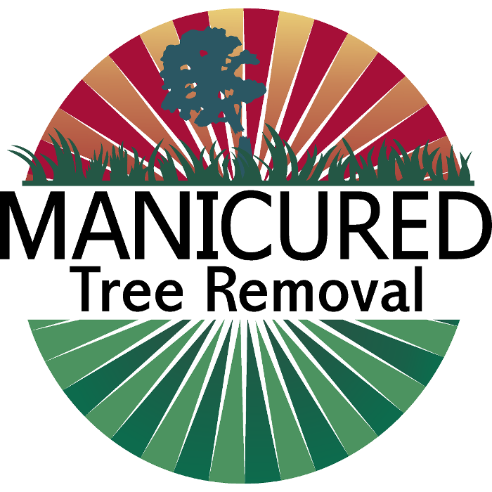 Manicured Tree Removal - Pensacola, FL