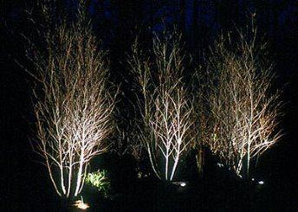 Dif's Electrical Services - Wayne, NJ