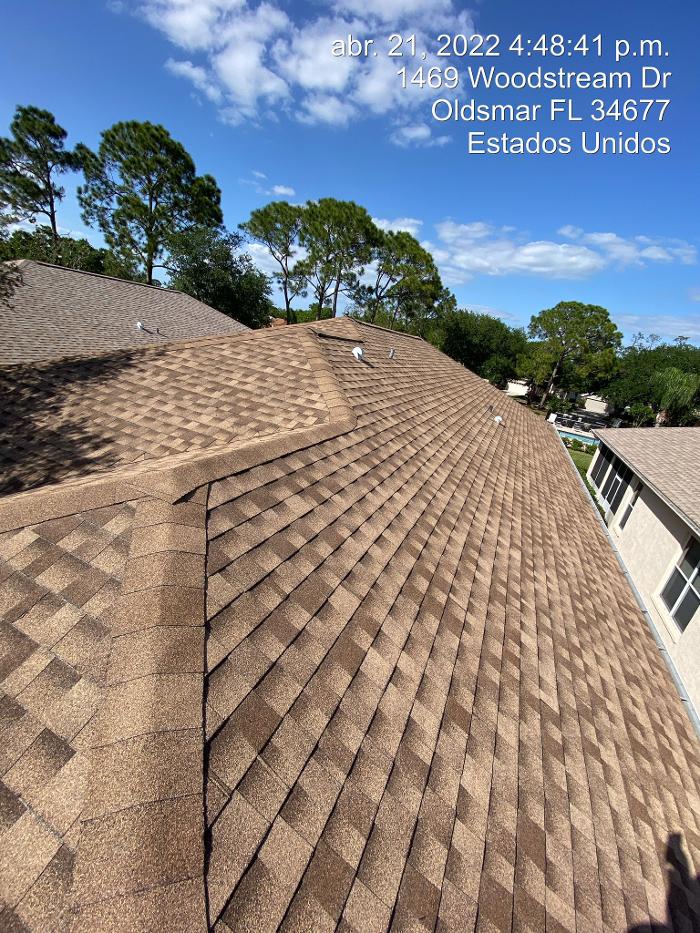 Green Leaf Roofing LLC - Dunedin, FL