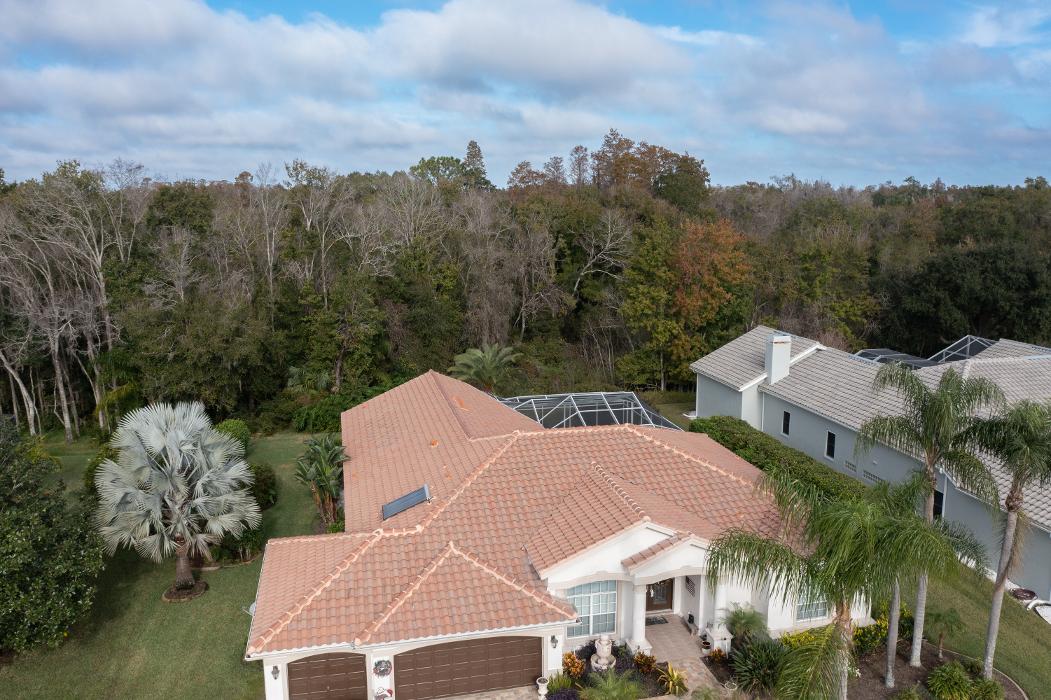 Green Leaf Roofing LLC - Dunedin, FL