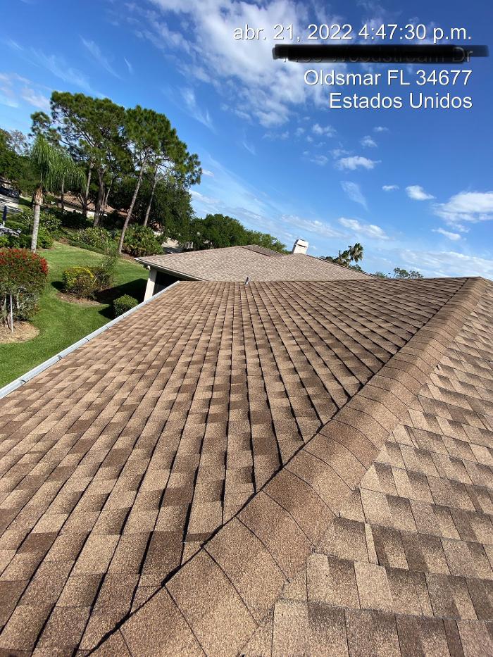 Green Leaf Roofing LLC - Dunedin, FL