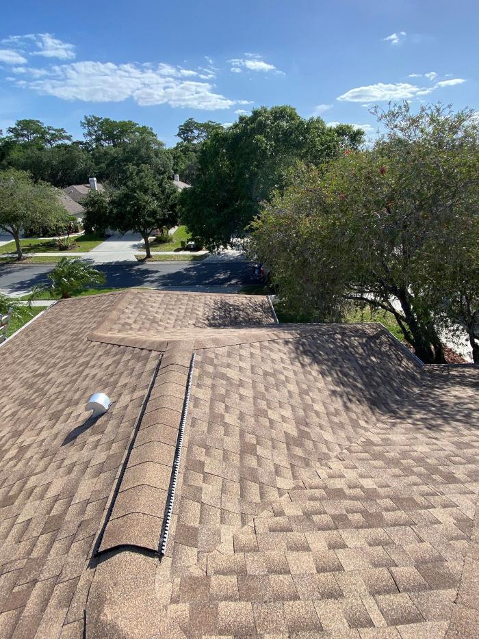 Green Leaf Roofing LLC - Dunedin, FL