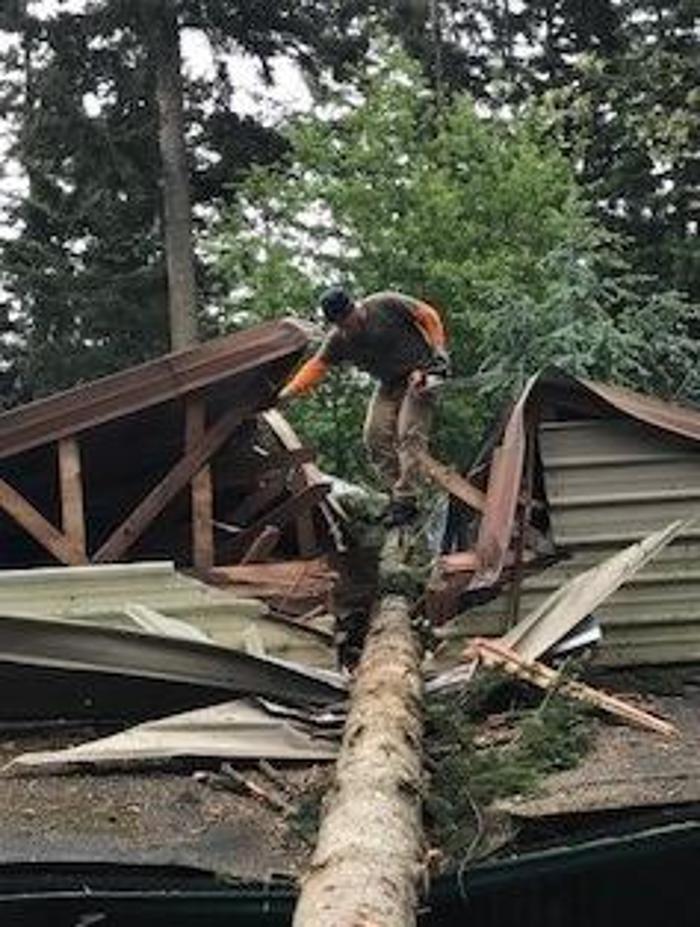 All Purpose Tree Service, LLC - Oak Harbor, WA