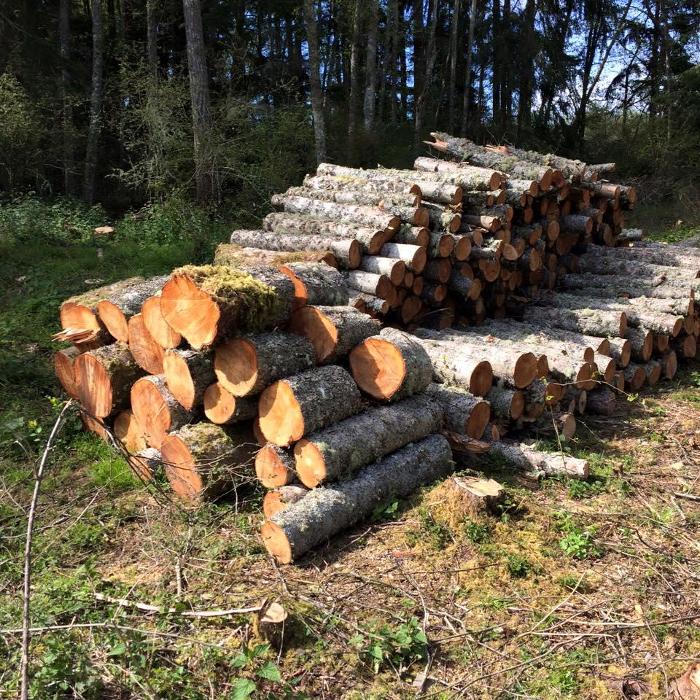 All Purpose Tree Service, LLC - Oak Harbor, WA