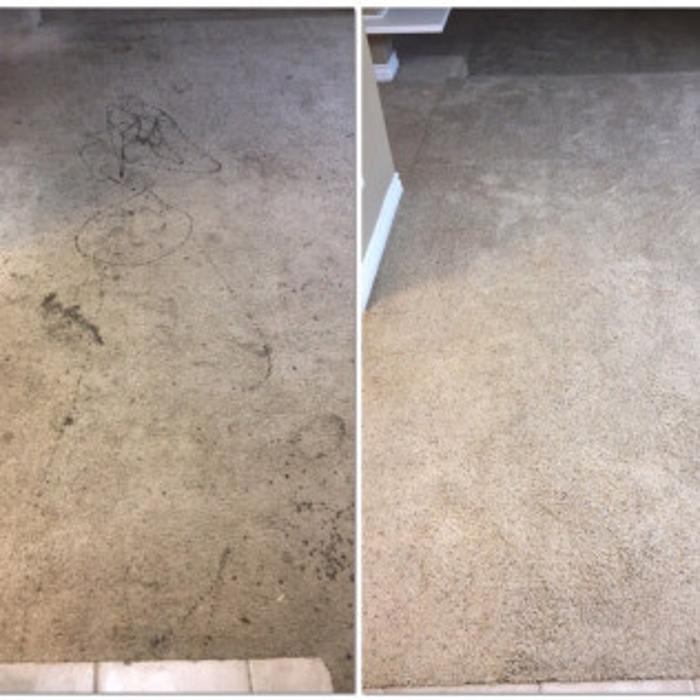 Benocular Floor Cleaning Services, LLC - Glendale, AZ