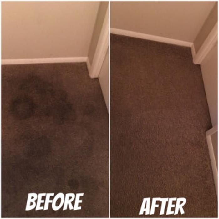 Benocular Floor Cleaning Services, LLC - Glendale, AZ