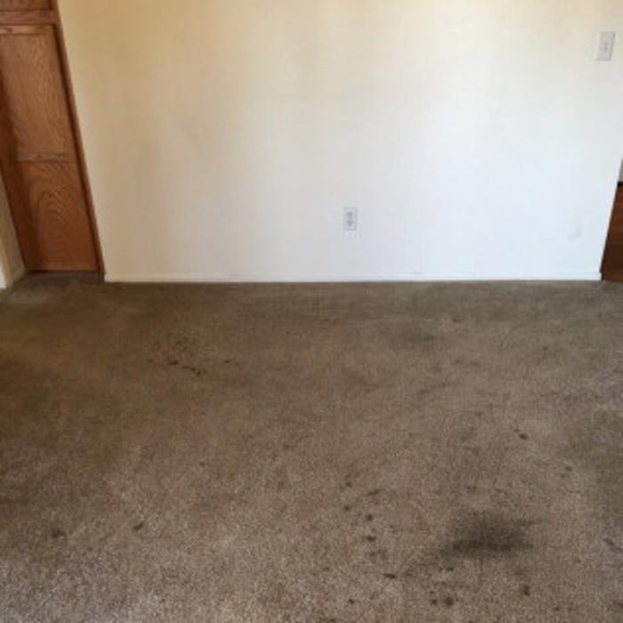 Benocular Floor Cleaning Services, LLC - Glendale, AZ