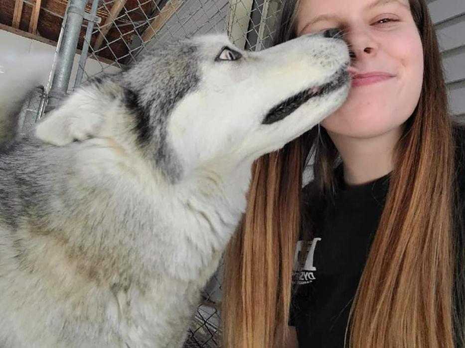 Carden Kennels - Bangor, ME