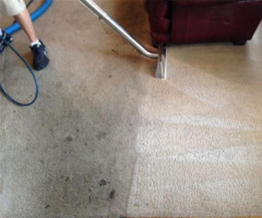 Nelson Carpet Cleaning - Memphis, TN