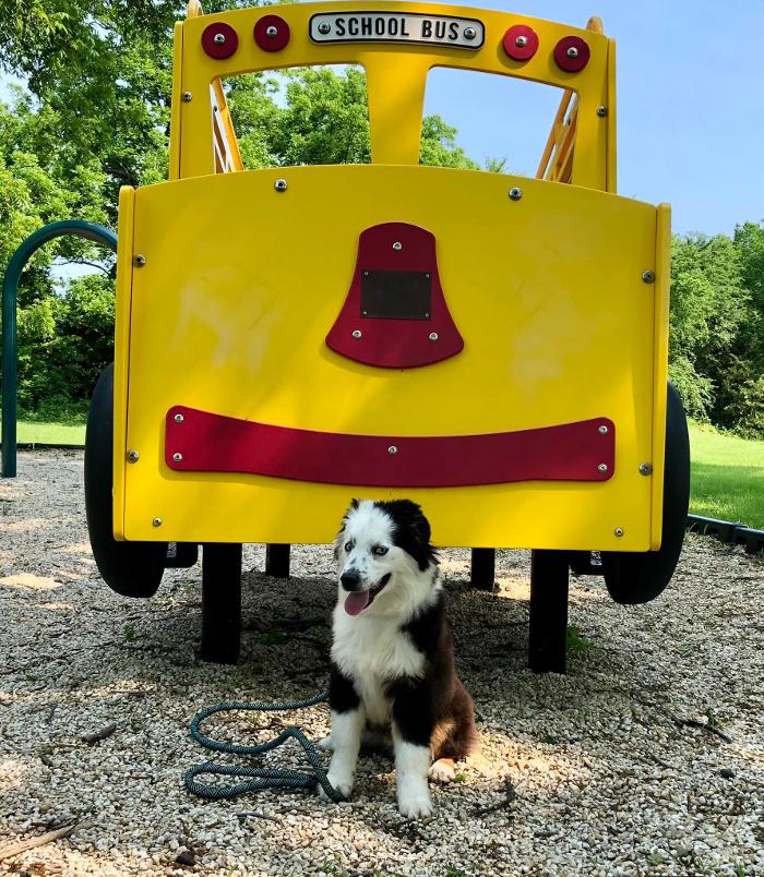 South Paws Ranch - Gainesville, TX