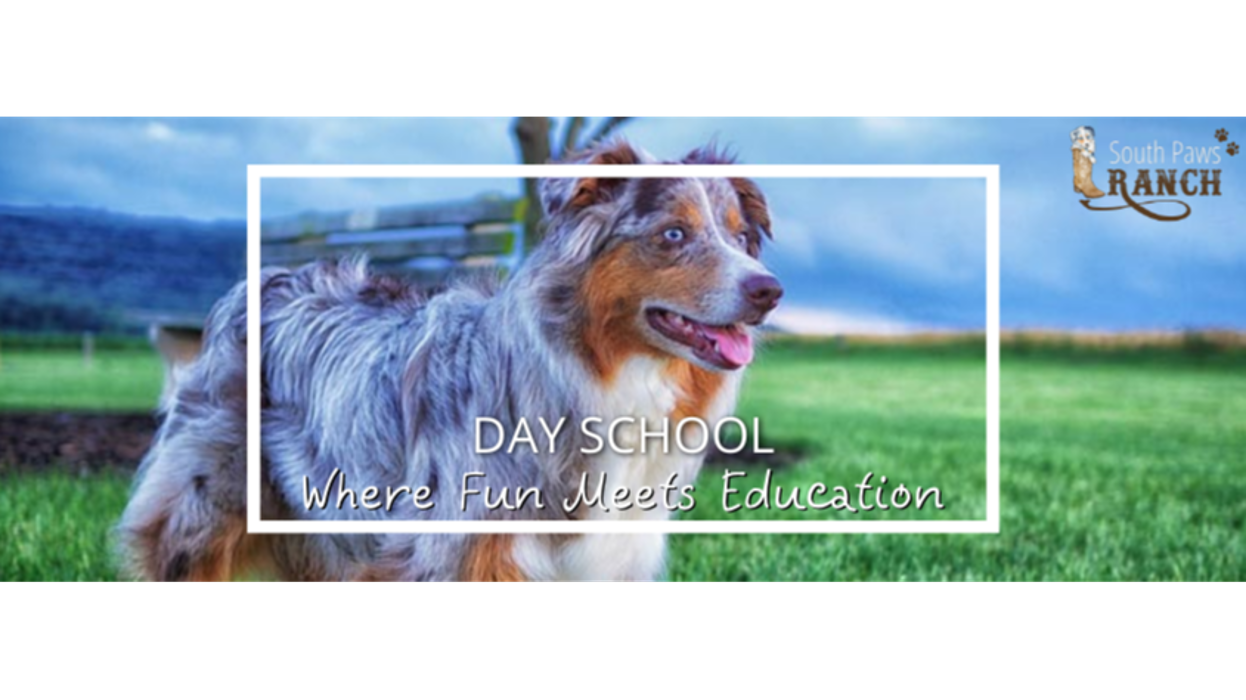 South Paws Ranch - Gainesville, TX