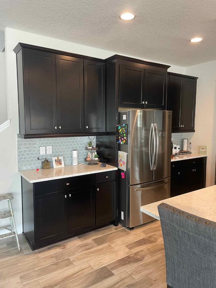 Total Quality Painting - Lithia, FL