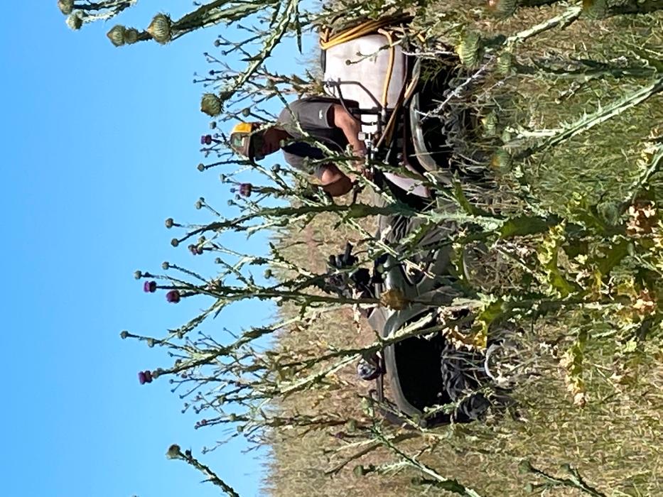 Ridley Pest Control - La Grande, OR