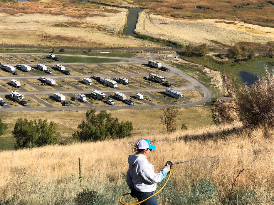 Ridley Pest Control - La Grande, OR