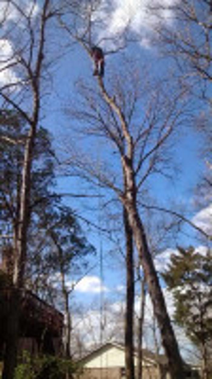 Melrose Tree and Landscaping, LLC - Huntsville, AL
