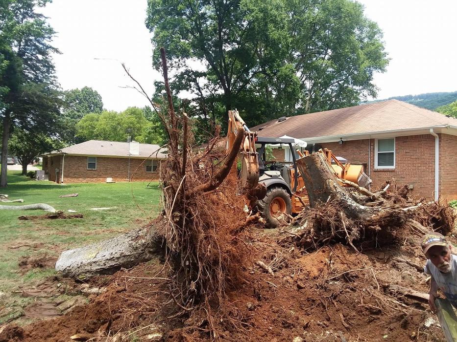 Melrose Tree and Landscaping, LLC - Huntsville, AL
