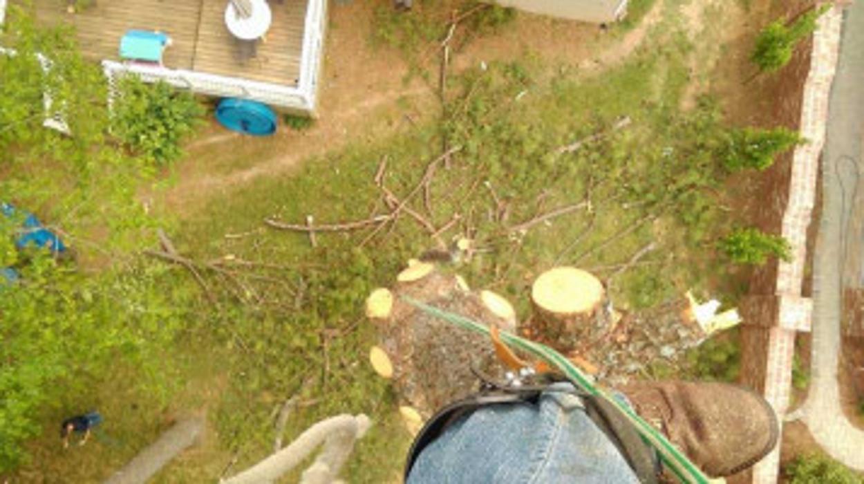 Melrose Tree and Landscaping, LLC - Huntsville, AL