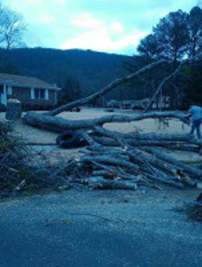 Melrose Tree and Landscaping, LLC - Huntsville, AL