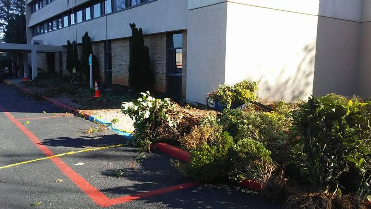 Melrose Tree and Landscaping, LLC - Huntsville, AL