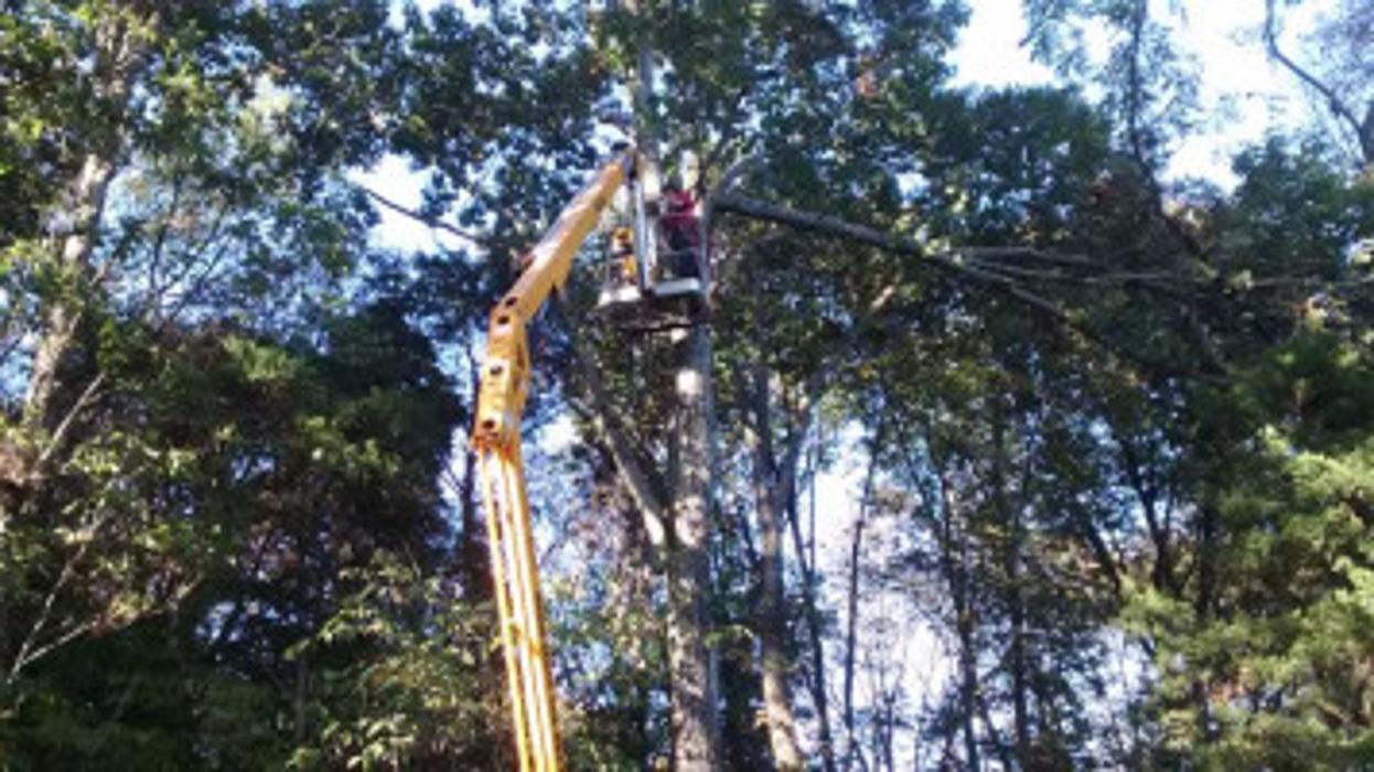 Melrose Tree and Landscaping, LLC - Huntsville, AL