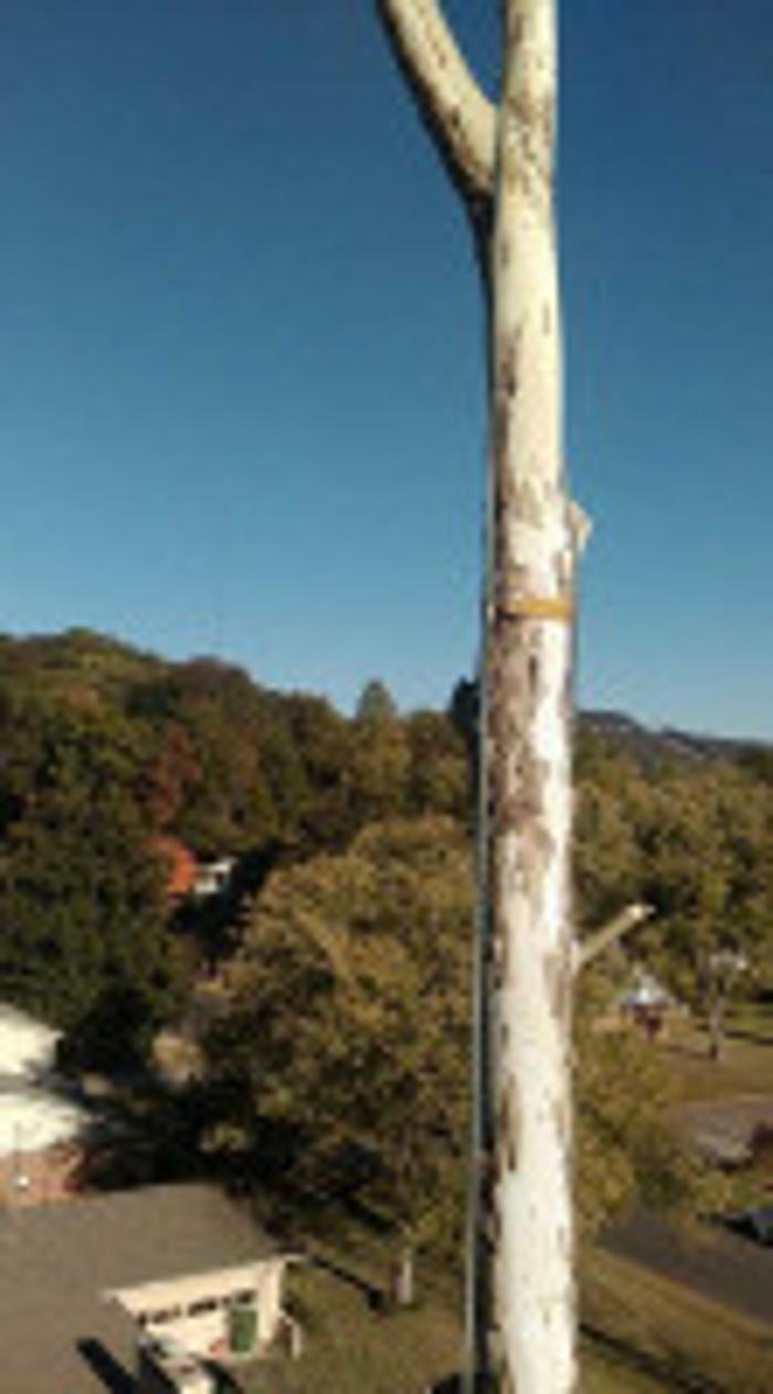 Melrose Tree and Landscaping, LLC - Huntsville, AL