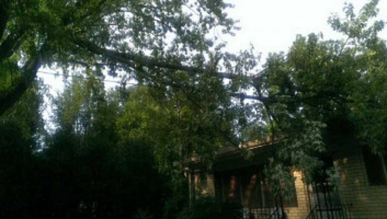 Melrose Tree and Landscaping, LLC - Huntsville, AL