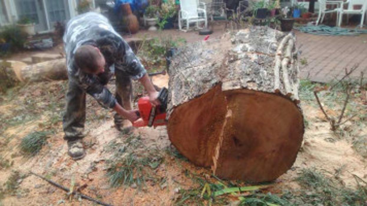 Melrose Tree and Landscaping, LLC - Huntsville, AL