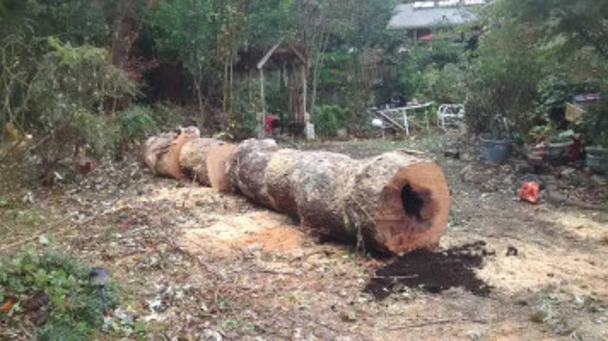 Melrose Tree and Landscaping, LLC - Huntsville, AL