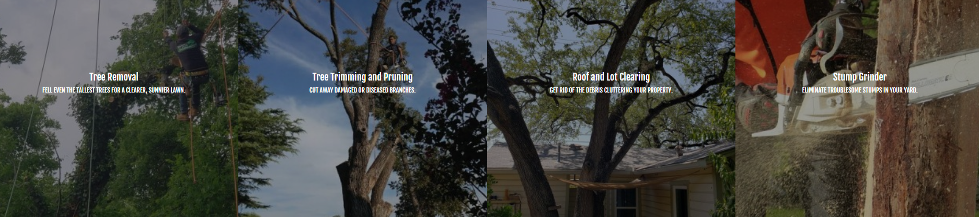 Aaron's Tree Service - Austin, TX