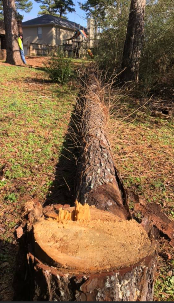 Church's Tree Service - Trussville, AL