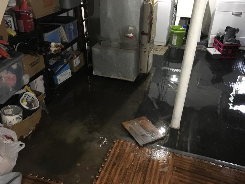 Clog Master Plumbing - Bristol, CT