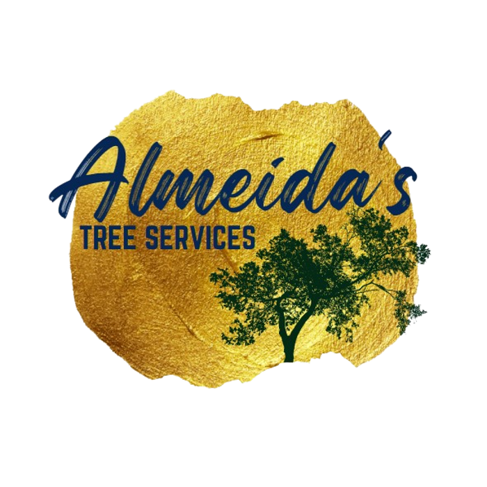 Almeida's Tree Services - Richmond, VA