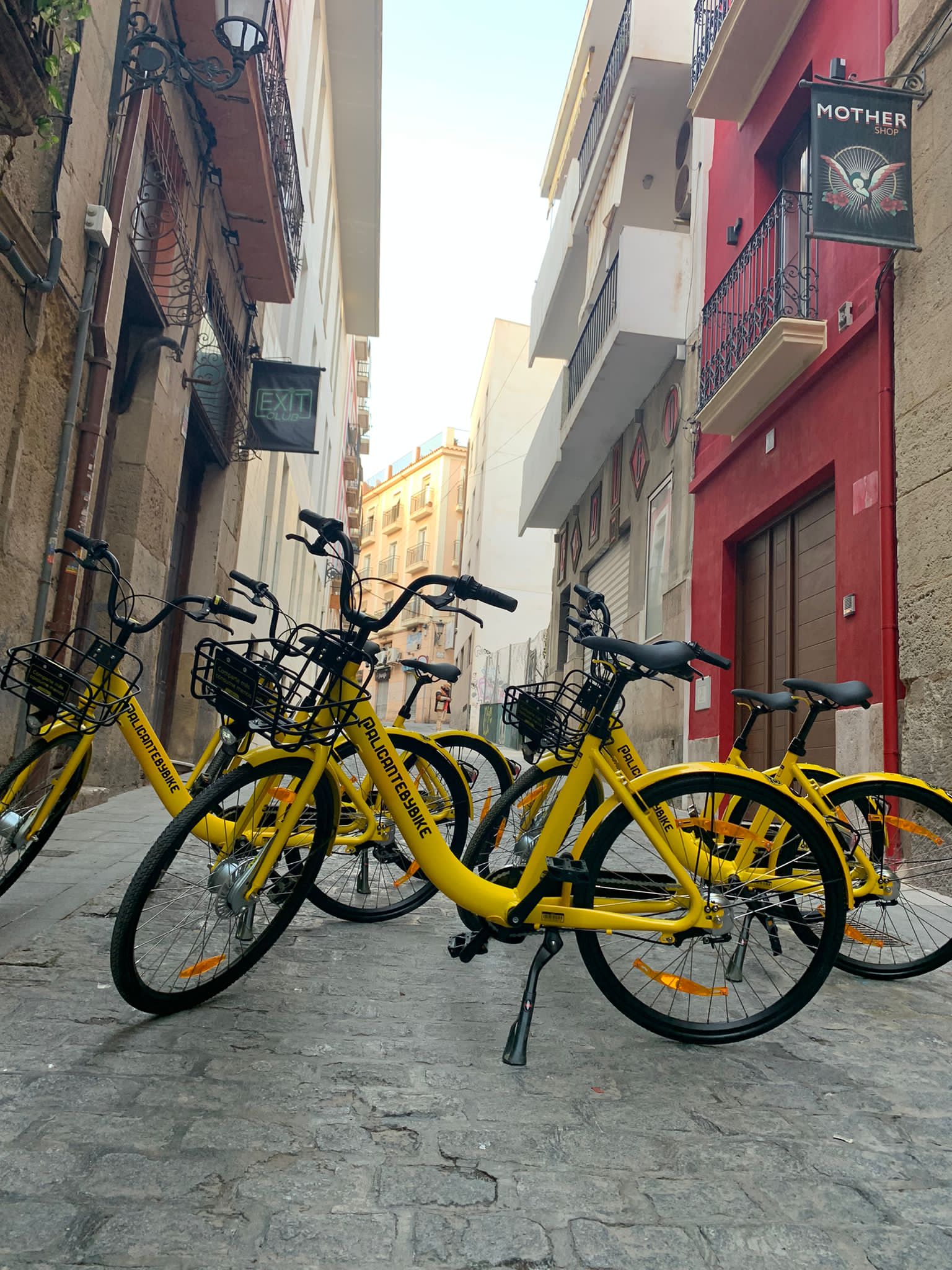 Galería en miniatura