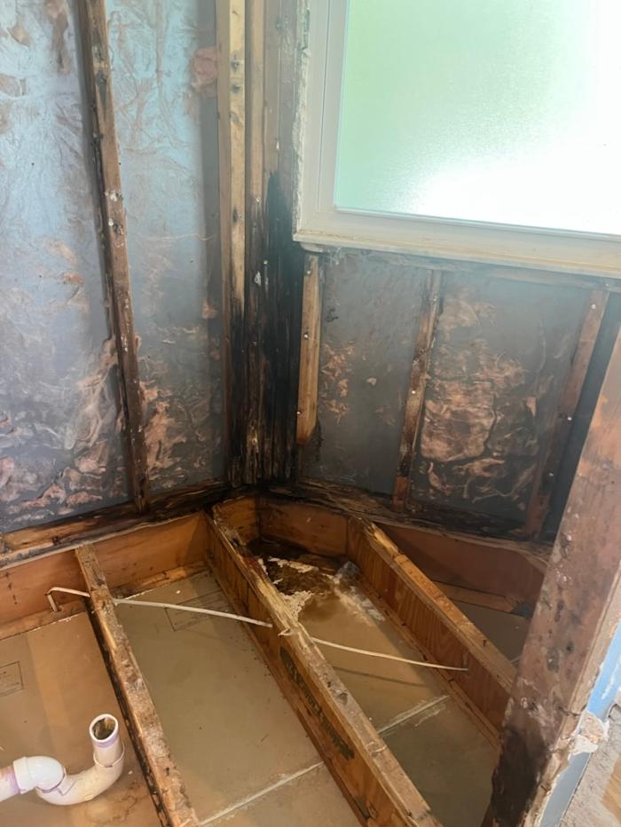911 Mold Pros - Bradenton, FL