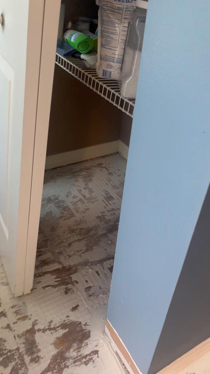 911 Mold Pros - Bradenton, FL