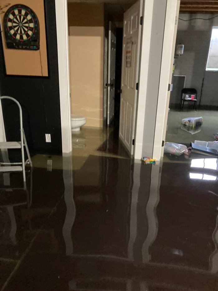 911 Mold Pros - Bradenton, FL