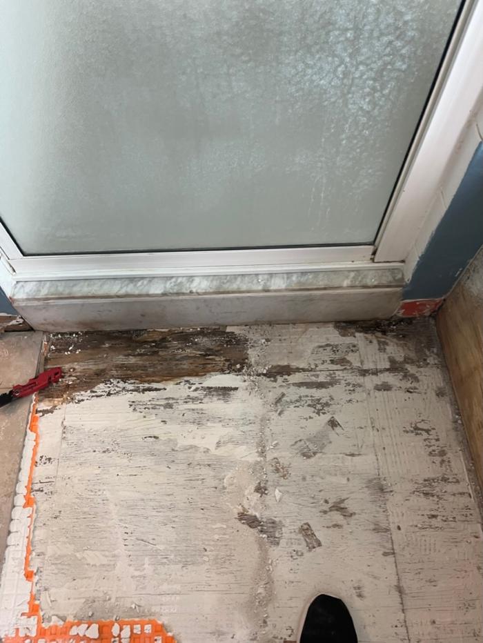 911 Mold Pros - Bradenton, FL