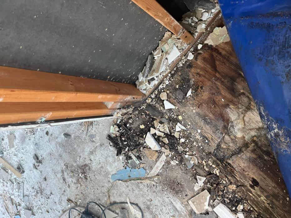 911 Mold Pros - Bradenton, FL