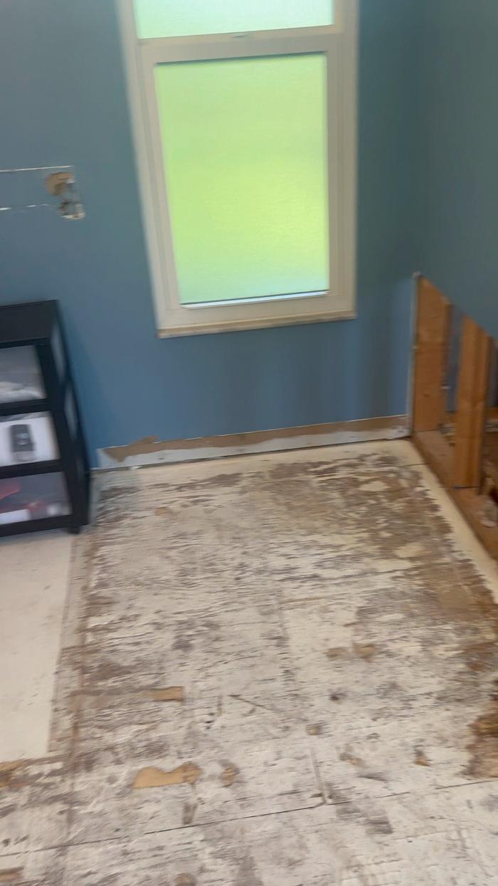 911 Mold Pros - Bradenton, FL