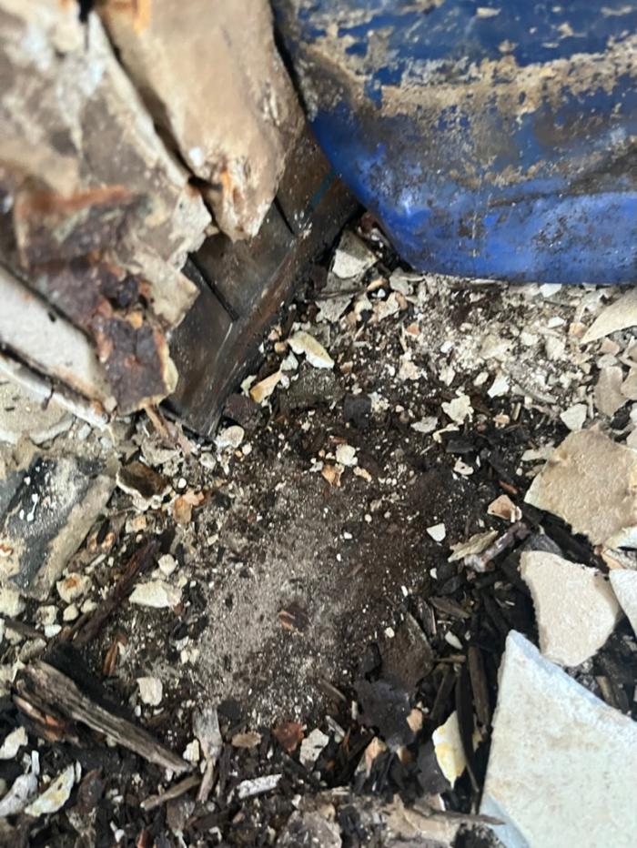 911 Mold Pros - Bradenton, FL