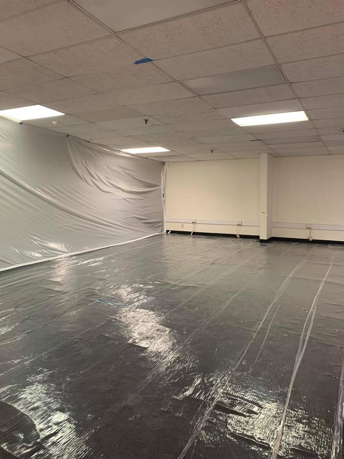911 Mold Pros - Bradenton, FL