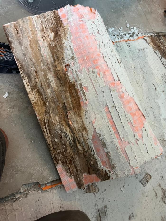 911 Mold Pros - Bradenton, FL