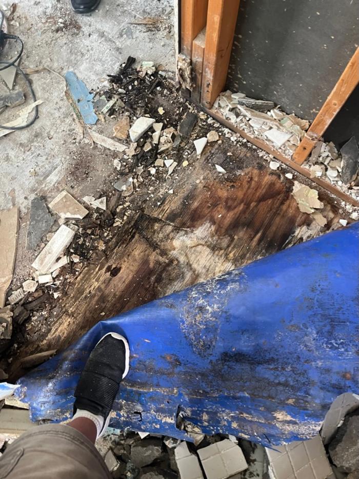 911 Mold Pros - Bradenton, FL