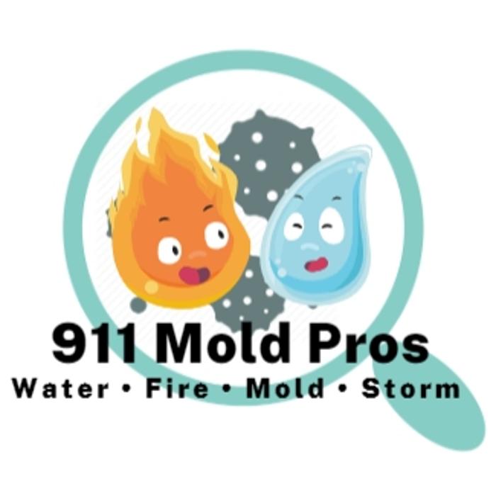 911 Mold Pros - Bradenton, FL