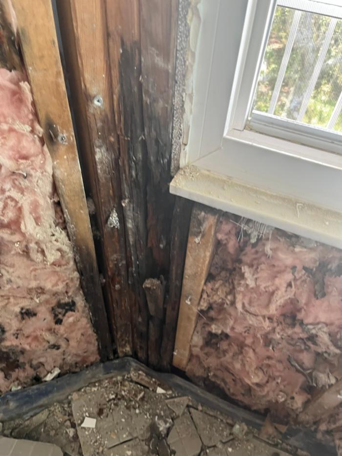 911 Mold Pros - Bradenton, FL